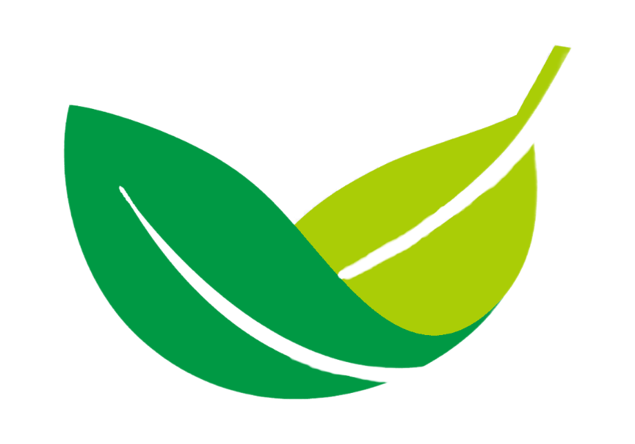 Туристическое агенство Волжские просторы